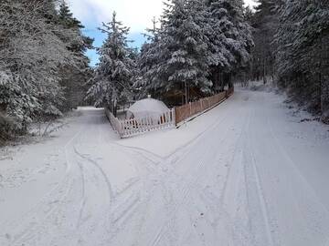 Фото номера Вилла Виллы Guest House Villa Vanesa г. Tsar Kaloyan 85